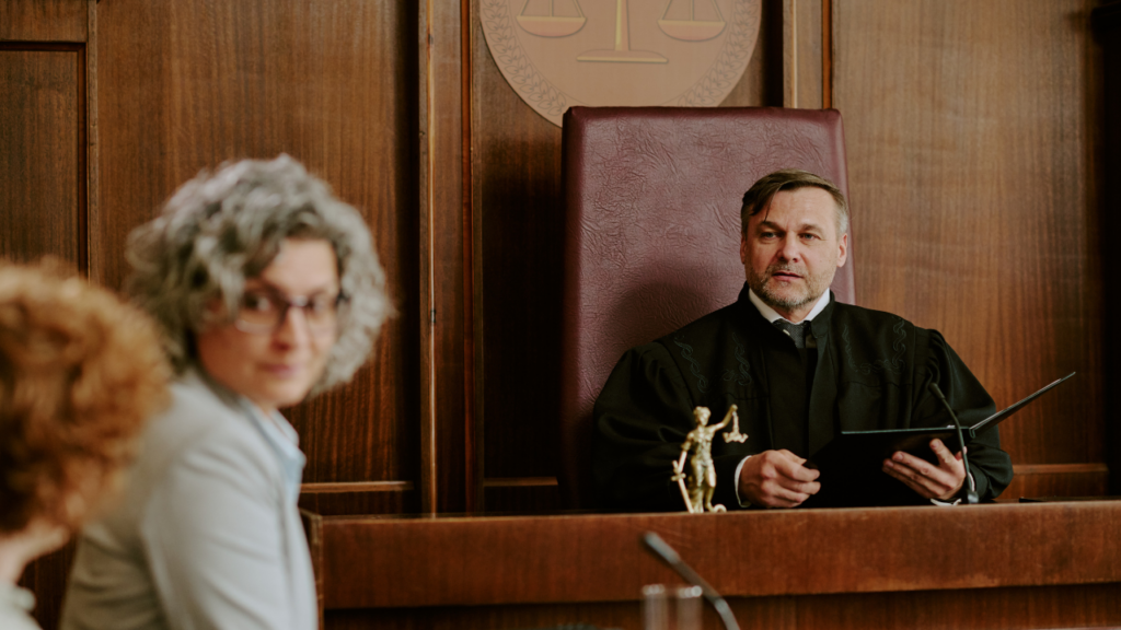 Sąd nie domyśla się faktów. Jeśli czegoś nie pokażesz - to nie istnieje